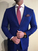 Royal Blue/Brown Suit